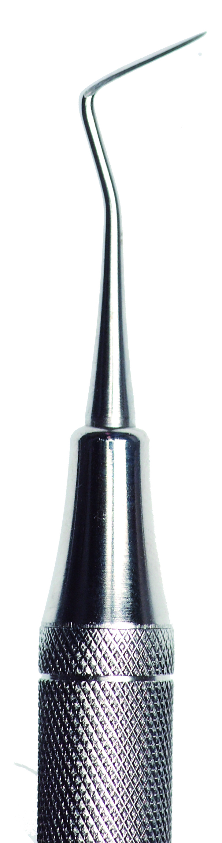700225.jpg