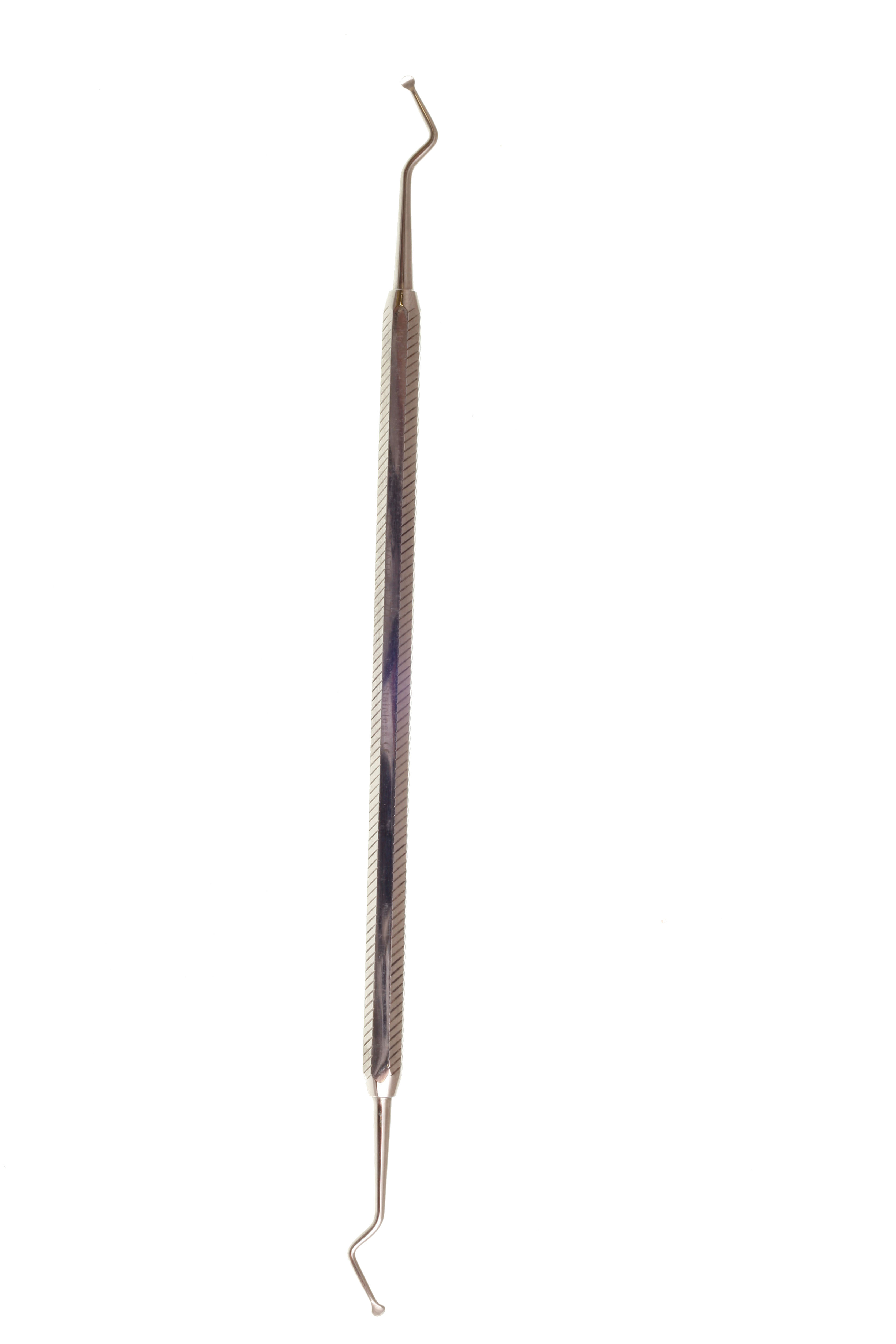 0950202.jpg